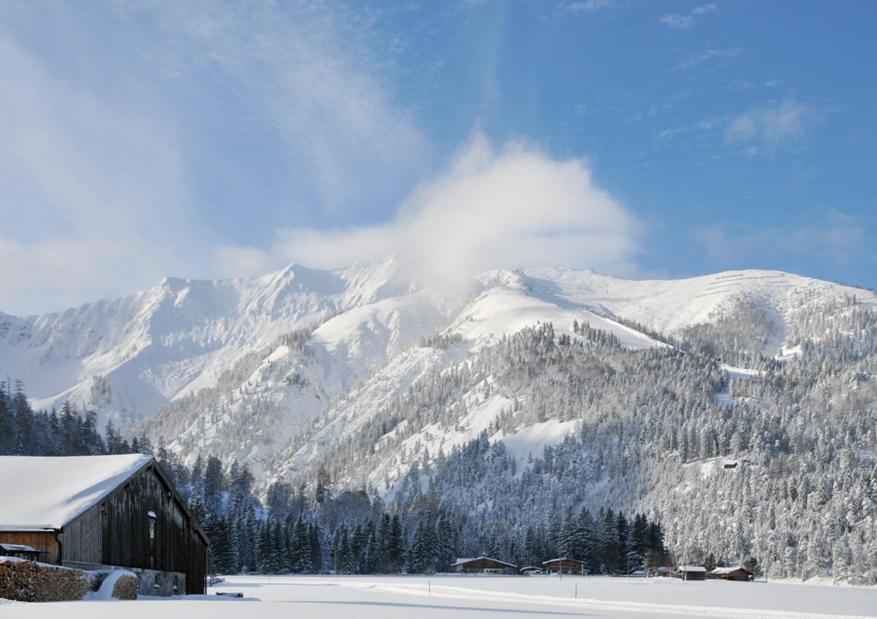 Tonis Appartements Am Achensee Achenkirch Zewnętrze zdjęcie